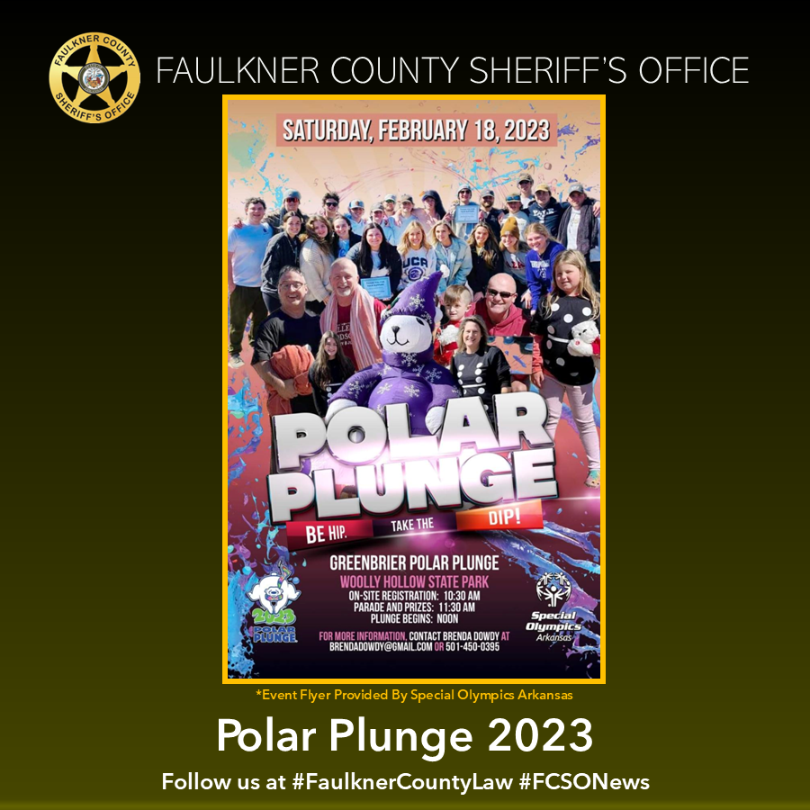 Polar Plunge Flyer Post.png