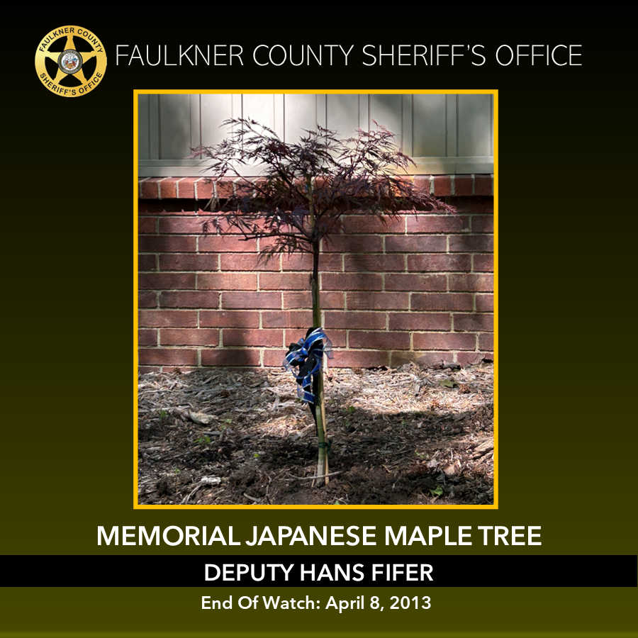 Fifer Memorial TREE.png