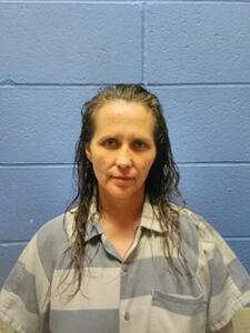 Mugshot of ANDREWS, LORI