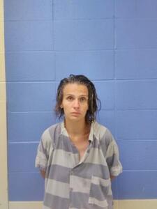 Mugshot of ALLISON, COURTNEY JUNE
