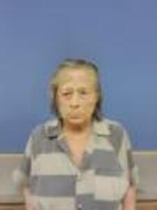 Mugshot of VOWELL, CHERYL ANN