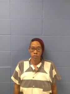 Mugshot of NEWTON, APRIL N
