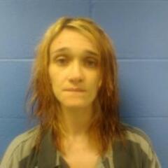 Mugshot of HARRINGTON, LINDA NICOLE