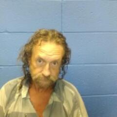Mugshot of COLLINS, LARRY EUGENE 