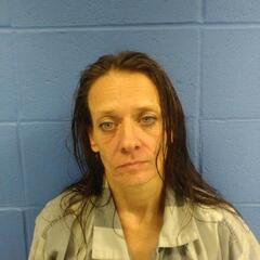 Mugshot of WILSON, AMANDA MICHELLE 