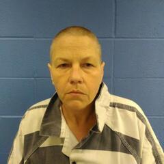 Mugshot of DAVIS, BRANDIE JOY 