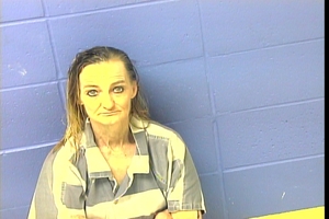 Warrant photo of Teresa Jean Whittiker