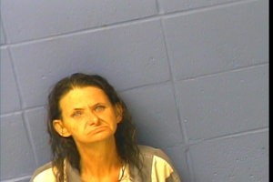 Warrant photo of Elisa Sutterfield