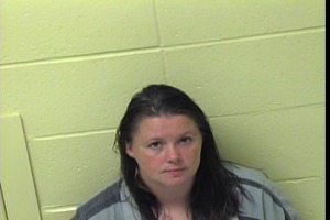 Warrant photo of Sandy Leigh Lovettwheeler
