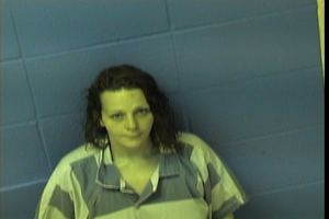 Warrant photo of Ashley Dale Harris