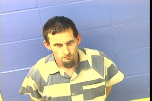Warrant photo of Robert Lewis Warren